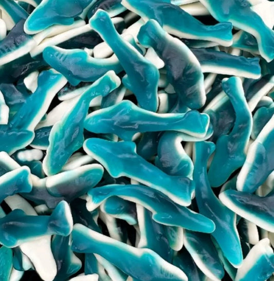 Gummy Sharks